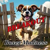 BREAKOUT
