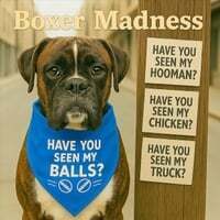 Have You Seen My Balls?